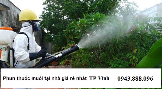 phun thuốc diệt muỗi