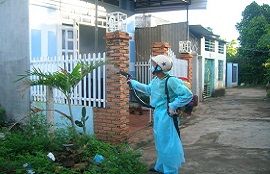 phun thuốc diệt muối